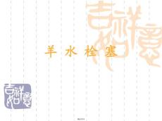 羊水栓塞治疗1