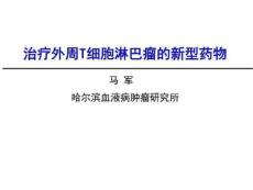 治疗外周T细胞淋巴瘤的新型药物