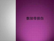 髌韧带损伤教材课件