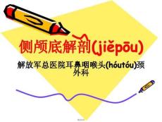 侧颅底解剖