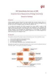 Executive_Summary_CSR