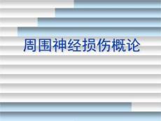 《尺神经损伤概论》PPT课件