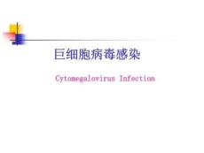 《巨细胞病毒感染》PPT课件
