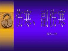 《伤寒副伤寒》PPT课件