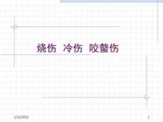 《烧伤冷伤咬螫伤》PPT课件