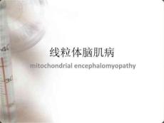《线粒体脑肌病》PPT课件
