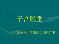 《子宫脱垂》PPT课件