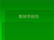 《髌韧带损伤》PPT课件