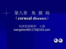 《角膜病、巩膜病》PPT课件