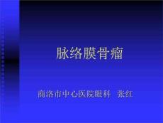 《脉络膜骨瘤》PPT课件