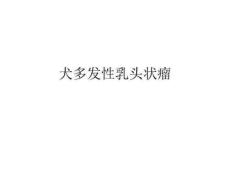 《舌乳头状瘤》PPT课件