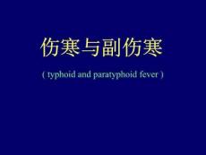 伤寒与副伤寒诊疗课件