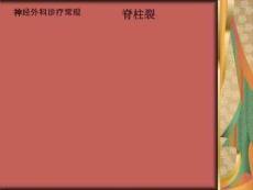 先天性疾病-脊柱裂