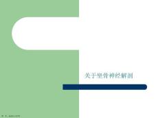 坐骨神经解剖课件