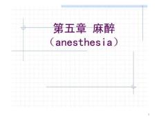 麻醉全身麻醉_免费下载_ok