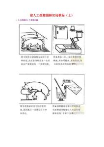 猪人工授精图解实用教程 上