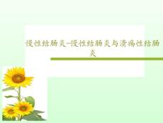 慢性结肠炎慢性结肠炎与溃疡性结肠炎课件