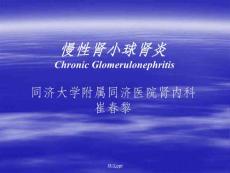 《慢性肾小球肾炎》