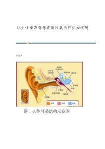 职业性噪声聋患者高压氧治疗你知道吗