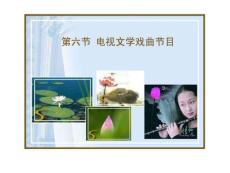 第六章电视综艺娱乐栏目第六节4 电视文学戏曲节目