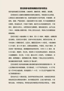 苦瓜侧多食跗线螨的识别与防治