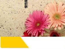 《慢性肺气肿》