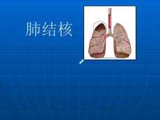 肺结核课件