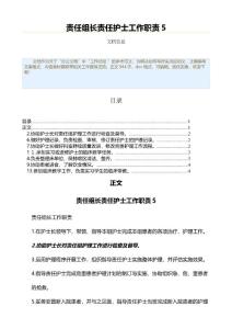 責任組長責任護士工作職責（工作總結 資料）
