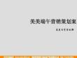 2010美美百货端午节营销方案