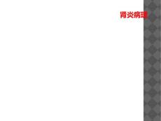 肾炎病理