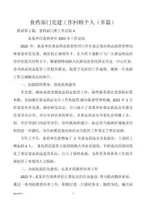 食药部门党建工作回顾个人（多篇）
