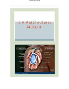 肩关节损伤MRI诊断讲解