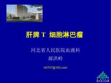 T细胞淋巴瘤郝总结