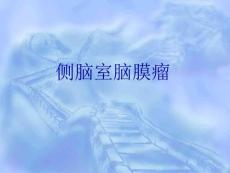 侧脑室脑膜瘤