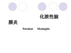 化脓性脑膜炎教学