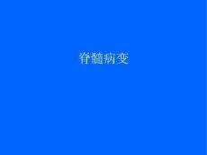 急性脊髓炎 (4）