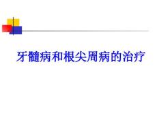 牙髓病与根尖周病