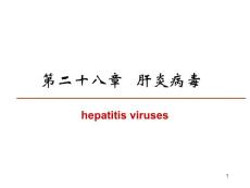 肝炎病毒(1)