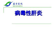 肝炎病毒课件