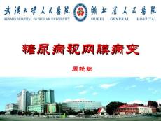 糖尿病视网膜病变  （2）