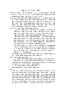附睾炎讲稿