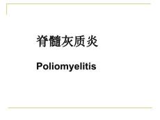脊髓灰质炎 课件
