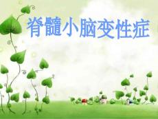 脊髓小脑变性症 (2)