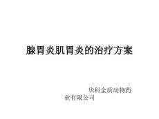 腺胃炎肌胃炎的治疗方案 （2）