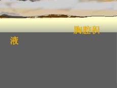 胸腔积液 （2）
