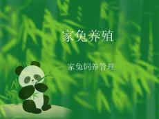4家兔飼養管理