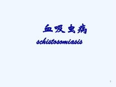 课件《血吸虫病》
