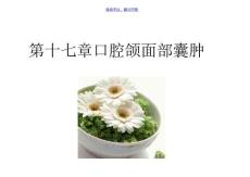 口腔组织病理学-口腔颌面部囊肿