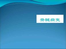 急性脊髓炎PPT课件