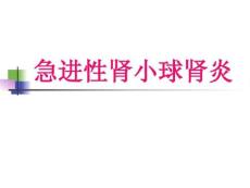 急进性肾小球肾炎慢性肾炎课件